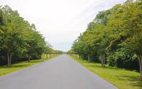Updated, Ground Floor Unit w/ Pool & Gym, Sleeps 6 - Ferienwohnung Gulf Shores