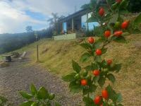Bem Vindo Ao Presente - Chambres d’hôtes Igrejinha
