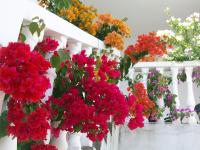 Appartement met 2 slaapkamers