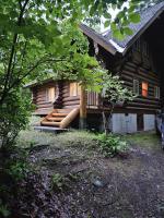 Kitakaruizawa V's Chalet - 北軽井沢 ヴィーズ シャレー - - B&B Saikubo