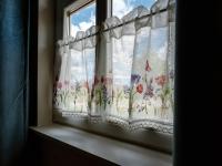 Niezapominajka Zabłocie 145 - Chambres d'hôtes Zabłocie
