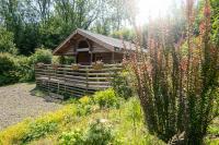 Pwll Cabin - Bed and Breakfast Carmarthen