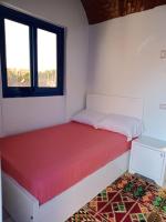 Habitación Individual con terraza