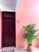 Maralagua - B&B Puerto Escondido