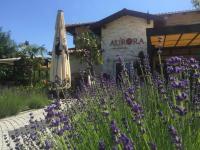 Aurora Panzió - Ferienwohnung Wichs