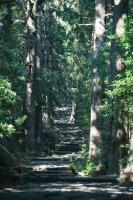 シングウノイエ【貸切】熊野古道　速玉大社　那智の滝　神倉神社　マグロ　和歌山ラーメン　 - B&B Shingū