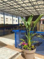 ModernLux - Chambres d’hôtes Bormujos