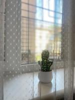 Appartement Supérieur