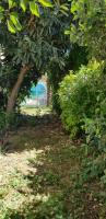 Sainte Maxime - B&B