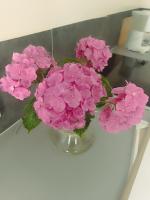 Duplex dans belle propriété avec piscine - Chambres d’hôtes Les Essarts-le-Roi