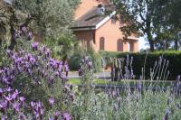 Appartamenti La Cicadea - B&B Terracina