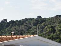 Apartments Zira S - B&B Sutomore