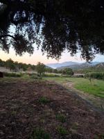 Maison en pierre proche de la plage saleccia en pleine nature - Chambres d’hôtes Paese Novu