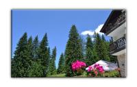 T&M Stay Pamporovo - Chambres d'hôtes Pamporovo