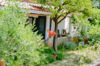 Apartments Dubrovnik Palm Tree Paradise - Ferienwohnung Dubrovnik