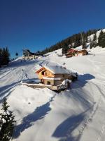 Chalet Vierlauchen - B&B Bramberg am Wildkogel