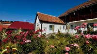 Apartament ACs Studio - B&B Sighișoara