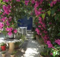 Triple Room with Terrace