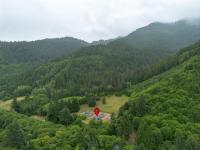 Nehalem Coastal Oasis - Secluded Coastal Home with Hot Tub on 14 Acres - Bed and Breakfast Nehalem