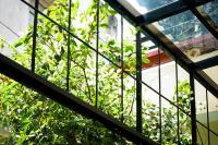 Foshan Old Street House Shunde Qinghui Garden Branch - Bed and Breakfast Shunde