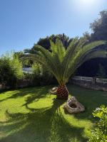 Villa Green Garden - B&B Metaxáta