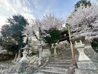 夢圓 大家族向け 一棟貸し 最大13名 浴室2室 無料駐車場4台 静かな住宅街 - Chambres d’hôtes Ōmihachiman