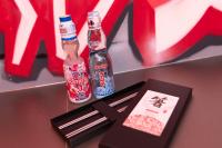 dernier train pour tokyo - Bed and Breakfast Toulouse