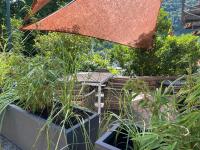 Ferienwohnung Hafenblick - B&B Neumagen-Dhron