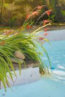 Domaine de la Tranquillité B - B&B Noyal-Muzillac