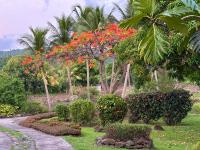 Grand T2 au calme en pleine nature - B&B Vieux-Habitants