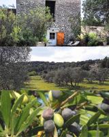 Les Oliviers - B&B Caumont-sur-Durance