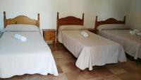 Basic Triple Room