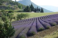 Le Chambron - B&B