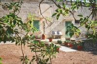 Masseria San Nicola dei Baroni di Castiglione - Bed and Breakfast Vignacastrisi
