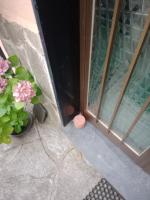 Appartement met 1 Slaapkamer