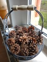 Erzgebirge - Chambres d’hôtes Schneeberg