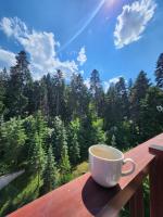 Borovets Violet by Ski slopes - Bed and Breakfast Borovets