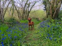 Haus mit 5 Schlafzimmern
