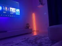 Modern Winter Villa Home Near Disney and Lego Land! - B&B Haines City