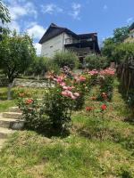 La Colonelu - B&B Sărata-Monteoru