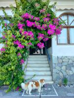 Papas Rooms on the Seafront - B&B