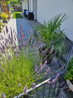 Jaworze - B&B Jaworze