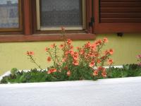 Apartment Meridiana - B&B