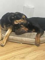 Room close to City and Hospital - B&B Cardiff