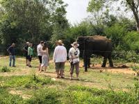 Forests for People Nidikumba Safari - B&B Tanamalwila