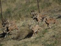 Zweibettzimmer mit Gartenblick