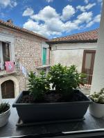 Il Nido - B&B Castelsaraceno