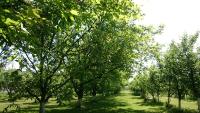 Agroturystyka Lulkowo - B&B