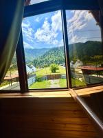 Forest hut - B&B Borjomi
