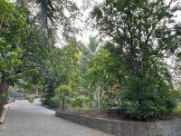 Kandy Neela Weralu - B&B Haragama